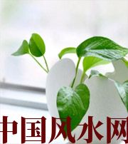 怒江家中摆放六种吉祥物，会打开您的财运大门！