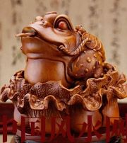 怒江解读金蟾最合适的位置，这样摆放更招财！