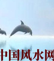 怒江做梦梦到这些，是要富裕的征兆！